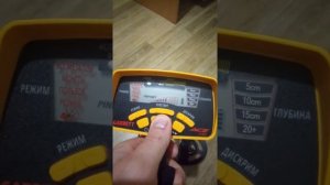 Металлоискатель Garret ace 250. Необычная поломка, не видит металлы