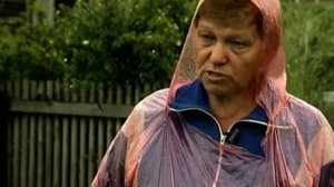 Айва японская:   уход, заготовка на зиму