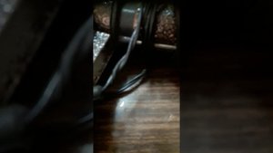 Компрессор Мустанг.Ремонт.2ч.