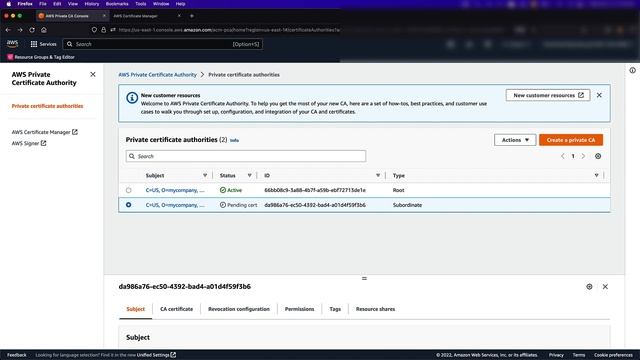 AWS Private CA - Fully Managed OCSP Demo | Amazon Web Services смотреть онлайн