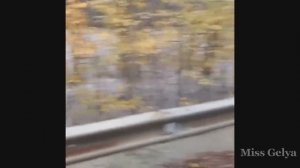 Адыгея река Белая Краснодарский край наводнение река вышла из берегов.