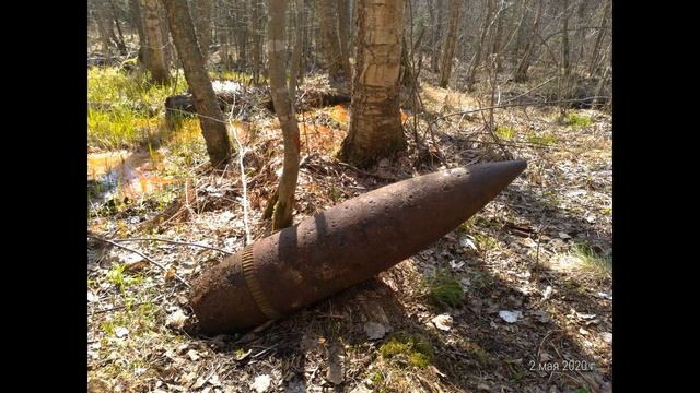 Традиционный майский поход по Линии Маннергейма [Ленобласть] (автор Олег Марчук) смотреть онлайн