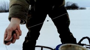 Подледные жерлицы