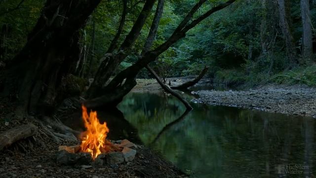 Посадка газонной травы летом своими руками быстро смотреть онлайн