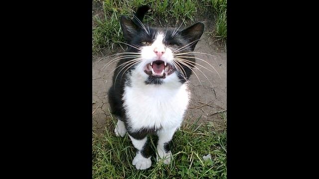 Рыбалка это кайф!!!2013год