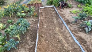 Как сделать грядку для лука-порея