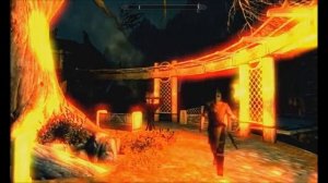 The Elder Scrolls Skyrim on Low End PC