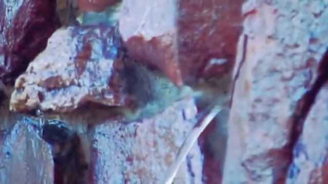 База отдыха"Сосны" с.Вяземка р\п Земетчино смотреть онлайн