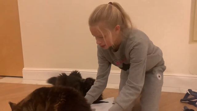 Распаковка КОННОЙ посылки!