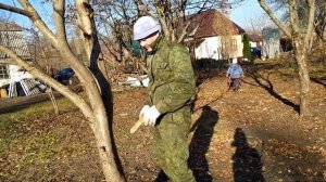 УХОД ЗА САДОМ ОСЕНЬЮ