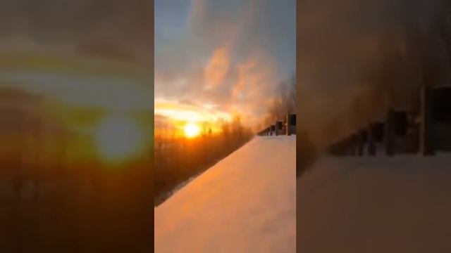 Flute Music for Sleeping I Flute Music for Relaxation l Relaxing Music смотреть онлайн