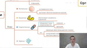 Интеллект карта “Строение животных”. Ткани, органы и системы органов на карте Xmind!