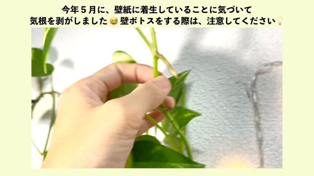 | 机の模様替え ? | 無印良品で文房具収納 | ペンの整理など | desk makeover | смотреть онлайн