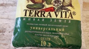 Земляника крупноплодная из семян: Елизавета, Тристар, Гигантелла