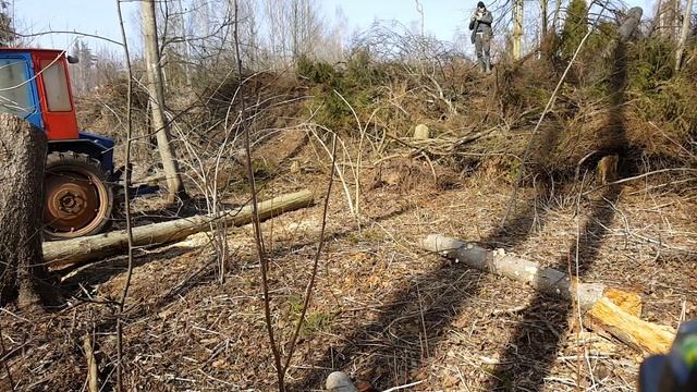 т16 - добывает дрова смотреть онлайн