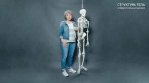 Что такое фасция? Секреты тела от Шумиловой.