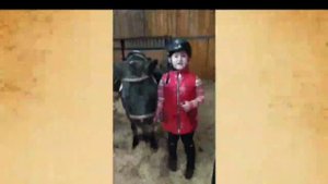 Гришина Ксения
1К