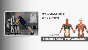 Отжимания от грифа