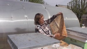 Холстик или плёнка. Что лучше для пчёл?