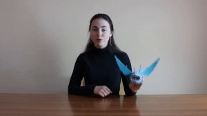 Обзор Громобоя Торнадо из серии "Как приручить дракона"  66550