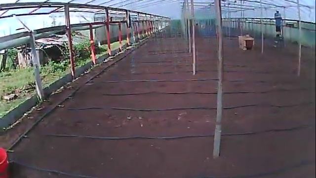 подготовка теплицы к посаде огурца герман смотреть онлайн