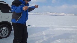 Серега ловит окуня на Гусинке 26 02 2016