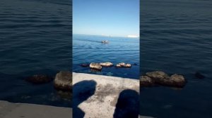 Гонки на лодках