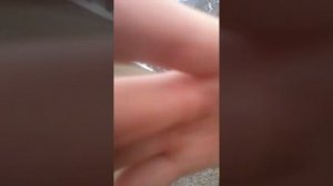 Охота на тура в Дагестане