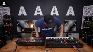 Behringer 2600 Analog Synth - Should You Choose It Over The Poly D?