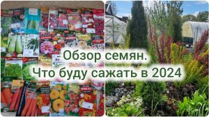 Обзор семян. Что буду сажать в 2024 году.