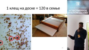 Выступление на конференции «ЕСТЕСТВЕННОЕ ПЧЕЛОВОДСТВО 2019» на тему ОРГАНИК ПЧЕЛОВОДСТВО
