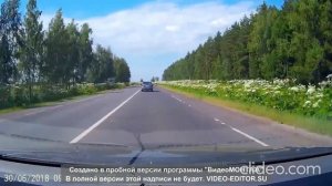 дураки и дороги.борщевик кругом борщевик.