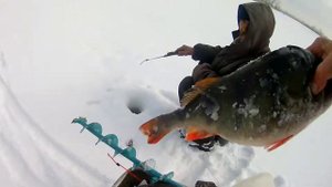 Зимняя рыбалка на Волге