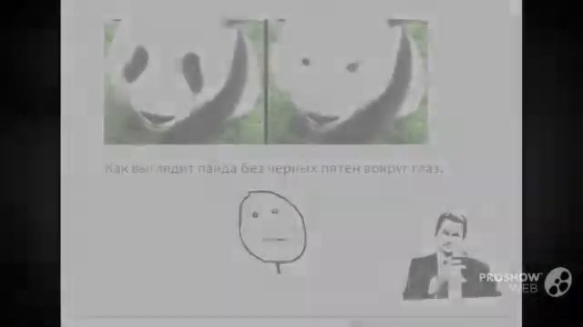 Как появились Панды? Подборка демотиваторов