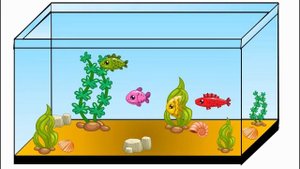 Рыбки Fish Аквариум Aquarium Видео для детей Kids