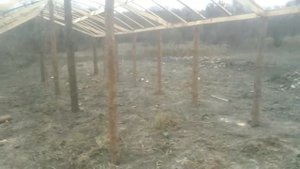 Теплица своими руками. Недорогая теплица.