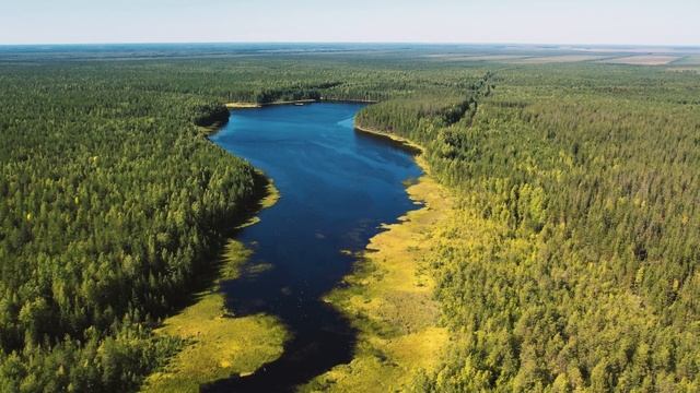 Рытовский пруд с высоты смотреть онлайн