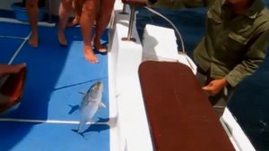 Морская рыбалка на Пхукете