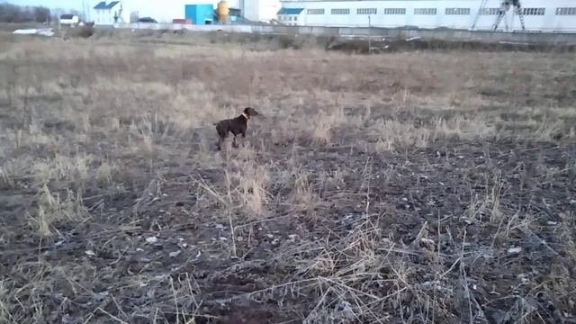 Амми, весна 21г смотреть онлайн