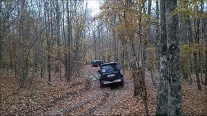 Шапсугский аномальный треугольник. Путешествие в станицу Шапсугская