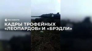 Кадры трофейных "Леопардов" и "Брэдли"