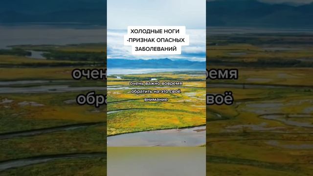 холодные ноги-признак опасных заболеваний #народнаямедицина #знахарь #здоровье #зож