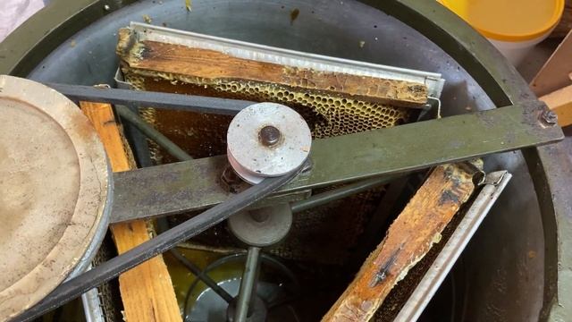 Откачка меда/Забрус и прополис/Вкусная жвачка/ смотреть онлайн