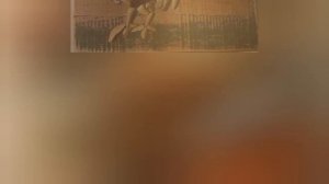 Из жизни пернатых. картины из морской гальки. Любовь Эриксон.