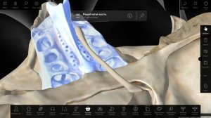 Решетчатая кость