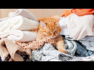 Утилизация Одежды