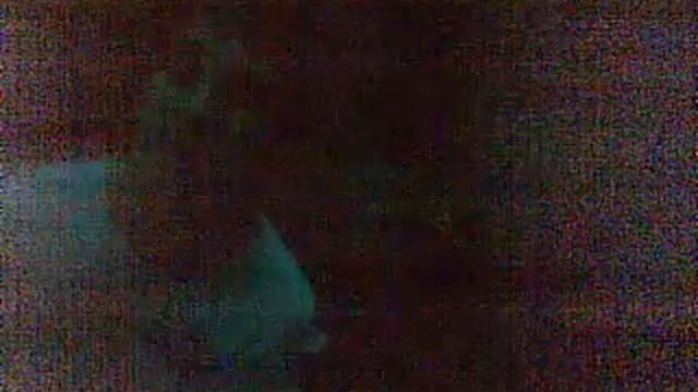 САЛЬВИЯ =) смотреть онлайн