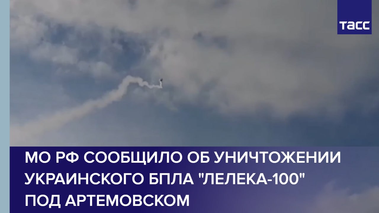 МО РФ сообщило об уничтожении украинского БПЛА "Лелека-100" под Артемовском