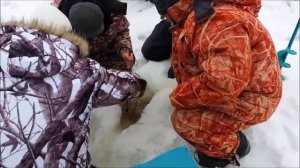 Зимняя ловля леща на Волге