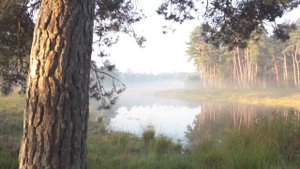 Музыка Н. Римского-Корсакова Третья песня Леля из оперы «Снегурочка» исполняет Садаков Семён